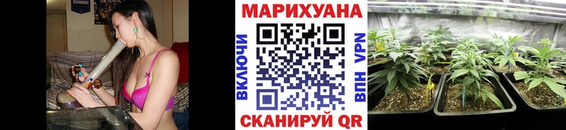 Купить закладки  Кимовск  Канабис Ganja 